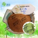 天然荷叶提取物P.E.荷叶提取物粉