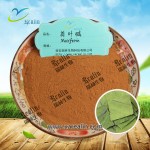 天然荷叶提取物P.E.荷叶提取物粉