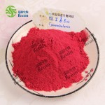 食品级维生素B12粉CAS 68-19-9钴胺素VB12粉