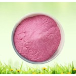 Natural Aronia Fruit Powder Spray Dried Aronia Chokeberry Powder