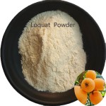 100%天然食品级枇杷果汁粉富含维生素抗氧化剂水溶性草药提取物鼓瓶包装