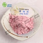 天然樱桃果汁粉速溶饮料及烘焙原料樱桃粉