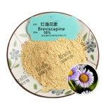 灯盏花素98% 100g/袋灯盏花素B CAS: 116122-36-2