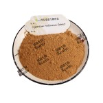 圣约翰草提取物贯叶连翘提取物粉末保健品