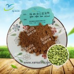 批发高品质水溶性绿原酸天然10:1 20:1绿咖啡豆提取物粉末
