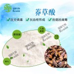 高纯度天然白桦林补充头发护理白桦皮提取物CAS 473-98-3白桦林粉98%白桦林