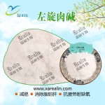 工厂供应高纯度营养补充剂99%左旋肉碱粉末