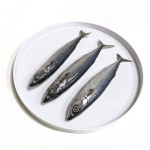 Frozen Mackerel Supplier - Pacific Whole LQF