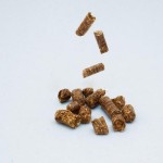Wood Pellets Factory - A1 A2 Polish Certified