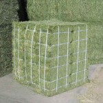 Animal Feed Supplier - Alfalfa Hay High Protein