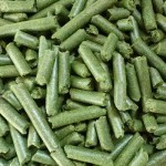 Alfalfa Hay Manufacturer - Top Grade Nutritious