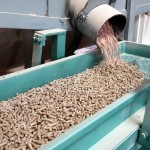 Wood Pellets Supplier - 2024 Bulk Supply