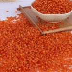 Red Lentils Manufacturer - Organic Ukrainian