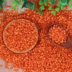 Red Lentils Manufacturer - Organic Ukrainian