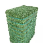 Alfalfa Hay Manufacturer - Top Grade Nutritious