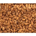 Almond Nuts Supplier - Natural Raw Bulk