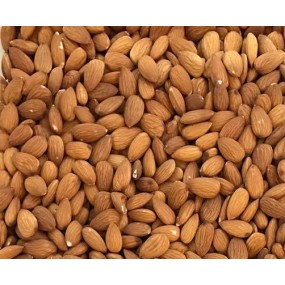 Almond Nuts Supplier - Natural Raw Bulk