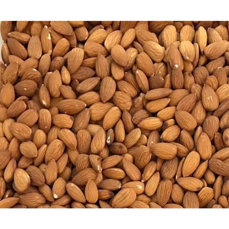 Almond Nuts Supplier - Natural Raw Bulk