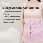Postpartum Girdle Factory - C-Section Recovery Back Support