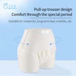 Period Panties Factory - Disposable Menstrual Maternity Pants