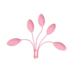 Kegel Weights Supplier - Exercise Control for Beginners Advanced