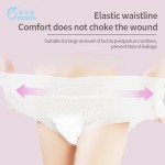 Period Panties Factory - Disposable Menstrual Maternity Pants