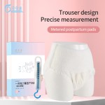 Period Panties Factory - Disposable Menstrual Maternity Pants