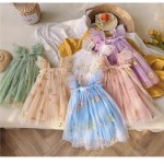 Tutu Dress Manufacturer - Floral Embroidery Ruffle