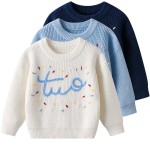 Baby Sweater Manufacturer - Hand Embroidery DIY