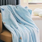 Bed Blankets Factory - Custom Soft Double Side Flannel Fleece