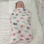 Bamboo Muslin Blanket Supplier - Bird Print Swaddle for Baby