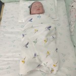 Bamboo Swaddle Blanket Manufacturer - New Arrived 3 Packs Baby