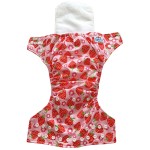 Cloth Diapers Manufacturer - Reusable Washable Baby Pants