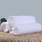 Wet Wipes Factory - Free Sample Extra Large Flushable