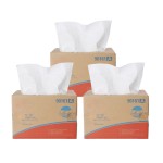 Wiping Cloth Supplier - Silicon Free Semiconductor Low Chip