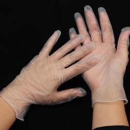 PVC Gloves Manufacturer - Multi Purpose Transparent Powder Free
