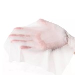 Cleaning Wipes Factory - Anti Static Woodpulp Lint Free