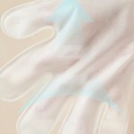 Pet Wipes Supplier - Grooming Gloves Biodegradable Dogs