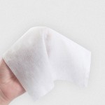 Wet Wipes Factory - Free Sample Extra Large Flushable