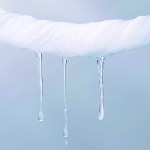 Facial Tissue Supplier - Individually Wrapped Organic Bamboo