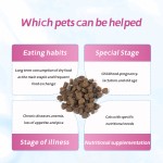 宠物12 +各年龄猫狗益生菌咀嚼片，适合健康猫狗的保健