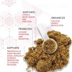 宠物免疫系统心脏肌肉循环心脏宠物补充心脏