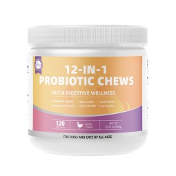 宠物元私人标签益生菌粉消化健康补充狗益生菌宠物补充狗益生菌