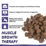 批发每日健康补充剂和咀嚼片猫和狗12种益生菌，以保护宠物健康