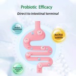 宠物健康OEM定制速效宠物免疫和过敏支持咀嚼片减少瘙痒舔平静皮肤