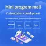 Small Program Custom Development Entire Lifecycle of Mini-programs and Apps Enabling Growth of Online Business Photography Serve