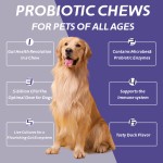 宠物元定制支持健康消化犬天然补充剂促进肠道健康消化和免疫健康益生菌