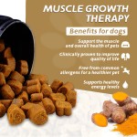 宠物元Pettisup肌肉增加力量软咀嚼宠物营养肌肉建设者狗加强肌肉生长