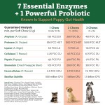 宠物维生素补充15合1多种维生素片免疫消化联合心脏健康补充狗