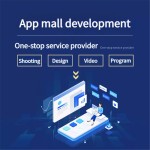 Small Program Custom Development Entire Lifecycle of Mini-programs and Apps Enabling Growth of Online Business Photography Serve